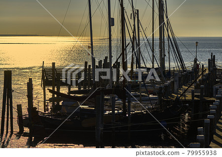 Old port at dawn with sailing yachts at the pier and the sea glistening in the rising sun, in Rantum, Sylt, Germany 79955938