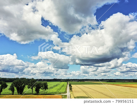 Fields, meadows, trees and a country lane in the lowlands of northern Germany under a white blue cloudy sky, aerial view Fields, meadows, trees and a country lane in the lowlands of northern Germany under a white blue cloudy sky, aerial view 79956151