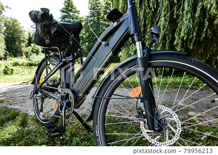Black pedelec stands in a park on a lawn in front of a green willow tree 79956213