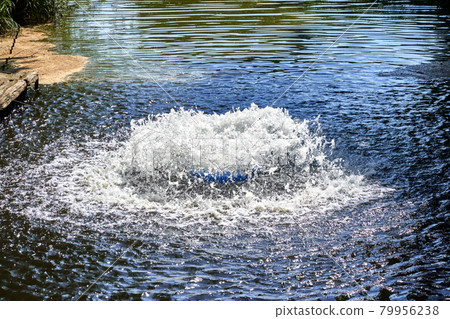 aeration system in a lake, which should increase the oxygen content of the water 79956238