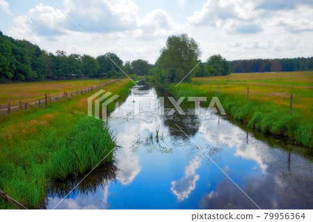 Go for a walk by the peaceful quiet river alone and change your surrounding 79956364