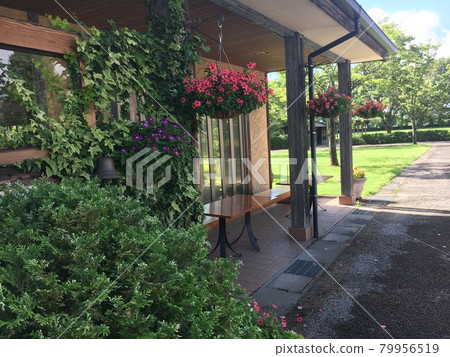 Nice shaded courtyard 79956519