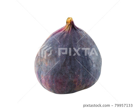 Purple fig isolated on white with copy space for text or images. Soft, sweet fruit, skin is very thin, has many small seeds inside of it. Close-up. Purple fig isolated on white with copy space for text or images. Soft, sweet fruit, skin is very thin, has many small seeds inside of it. Close-up. 79957133