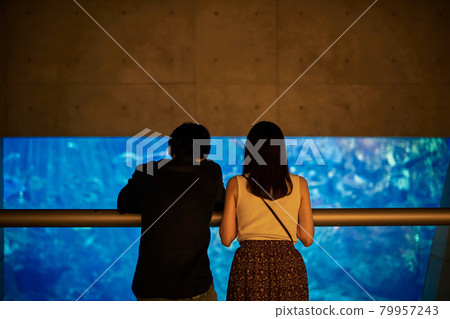 A young couple watching fish and creatures on an aquarium date 79957243