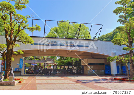 [Ehime Prefecture] Ehime Prefectural Tobe Zoo 79957327