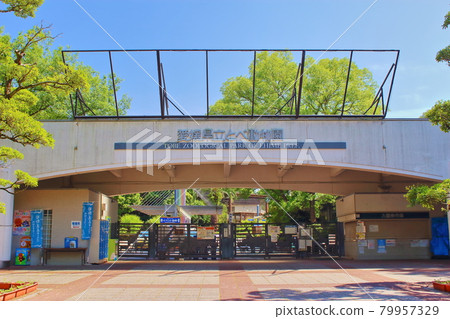 [Ehime Prefecture] Ehime Prefectural Tobe Zoo 79957329