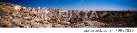 Panorama view to Plateau Ustyurt from the edge of Aral sea at Duana cape, Karakalpakstan, Uzbekistan 79957829