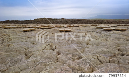 Salt Lake Karum aka Assale or Asale , Danakil Afar Ethiopia Salt Lake Karum aka Assale or Asale , Danakil Afar Ethiopia 79957854