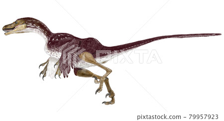 Bambiraptor Small theropod It is presumed that it inhabited North America in the late Cretaceous. 79957923