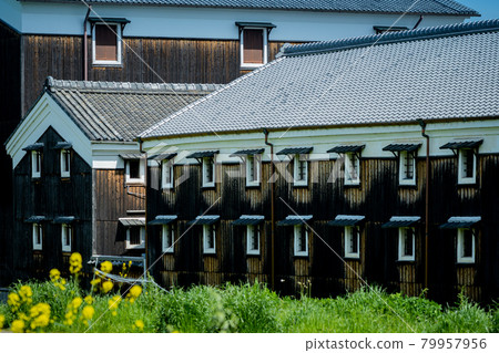 Those that took a picture of the brewery that spring blooms in Fushimi-ku, Kyoto-shi Those that took a picture of the brewery that spring blooms in Fushimi-ku, Kyoto-shi 79957956