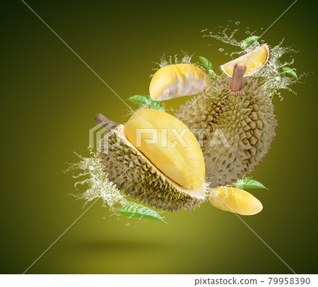 Water Splash On Ripe Durian Fruit isolated On green Background Water Splash On Ripe Durian Fruit isolated On green Background 79958390
