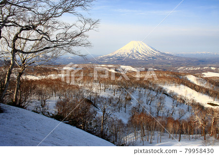 從本庫託山看雪季的羊蹄山 79958430