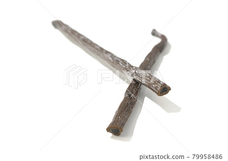 在白色背景上拍攝的香草豆 79958486