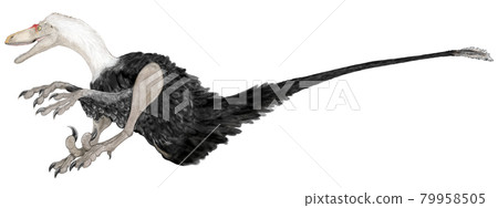 恐爪龍的後腿上有大爪子,這意味著白堊紀早期的一種小型食肉恐龍“可怕的爪子” 恐爪龍的後腿上有大爪子,這意味著白堊紀早期的一種小型食肉恐龍“可怕的爪子” 79958505