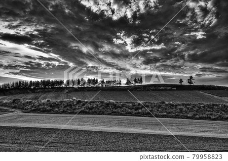 Biei evening twilight monochrome Biei evening twilight monochrome 79958823