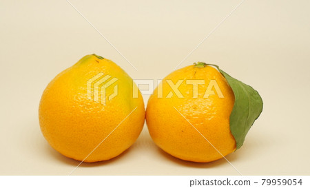 Citrus 79959054