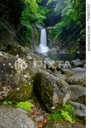 Narusawa Falls Shinshiro City Fresh Green Waterfall Scenery Narusawa Falls Shinshiro City Fresh Green Waterfall Scenery 79960332