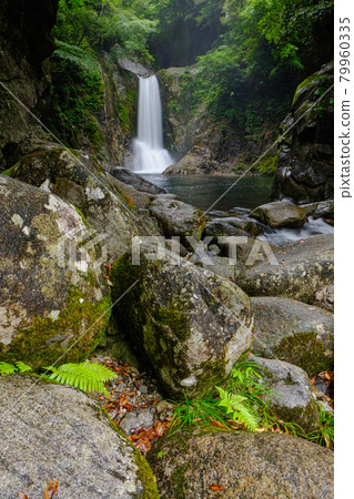 Narusawa Falls Shinshiro City Fresh Green Waterfall Scenery 79960335