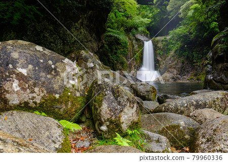 Narusawa Falls Shinshiro City Fresh Green Waterfall Scenery Narusawa Falls Shinshiro City Fresh Green Waterfall Scenery 79960336