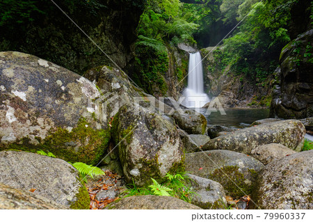 Narusawa Falls Shinshiro City Fresh Green Waterfall Scenery Narusawa Falls Shinshiro City Fresh Green Waterfall Scenery 79960337