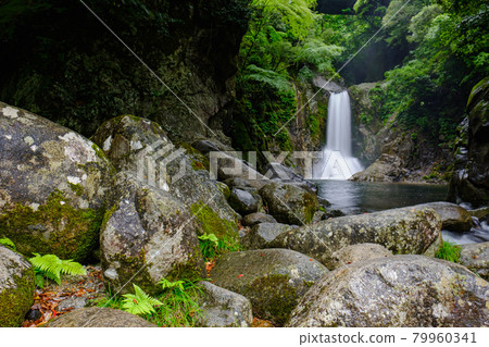 Narusawa Falls Shinshiro City Fresh Green Waterfall Scenery 79960341