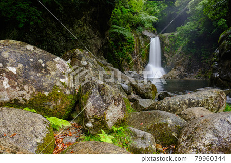 Narusawa Falls Shinshiro City Fresh Green Waterfall Scenery 79960344