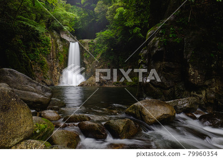 鳴澤瀑布 Shinshiro City Fresh Green Waterfall 風景 79960354