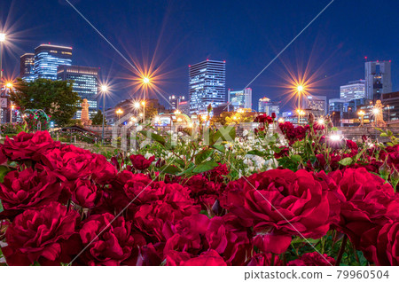 Nakanoshima Park Night Rose Garden Nakanoshima Park Night Rose Garden 79960504