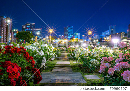 Nakanoshima Park Night Rose Garden 79960507