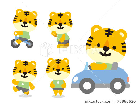可愛的動物混合老虎 79960620