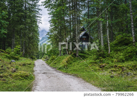 The hiking path to Upper Gosau Lake Dachstein, Austria The hiking path to Upper Gosau Lake Dachstein, Austria 79962266