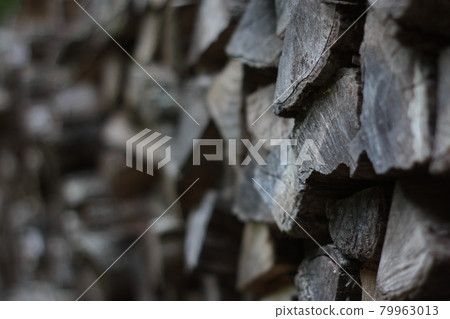 Wait for the winter Wait for the winter 79963013