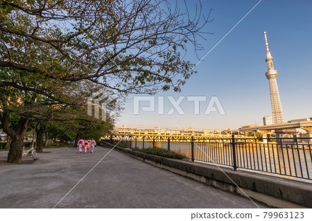 Tokyo, Japan - October 26, 2017 : Tokyo Japan, city skyline at Sumida River and Sky Tree 79963123