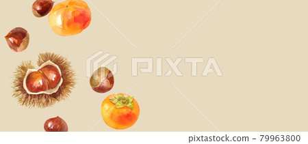 Autumn ingredients: Chestnut and persimmon bird's-eye view watercolor illustration. Banner background. Autumn ingredients: Chestnut and persimmon bird's-eye view watercolor illustration. Banner background. 79963800