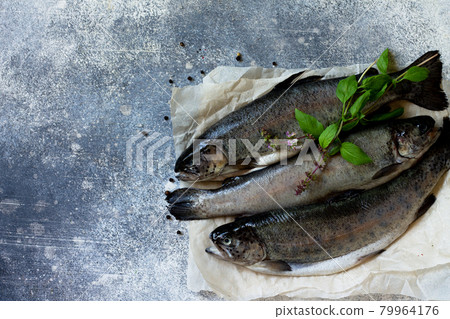 Salmon. Fresh raw salmon fish with culinary spices and herbs on a gray countertop. Top view flat lay background. Copy space. Salmon. Fresh raw salmon fish with culinary spices and herbs on a gray countertop. Top view flat lay background. Copy space. 79964176