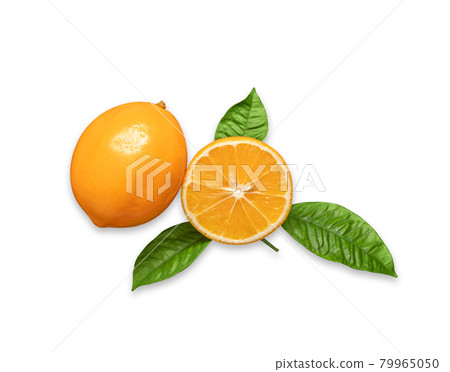 Orange sliced and whole citrus fruit isolated on white background. Juicy ripe slices of orange lemon. Citrus meyeri with green leaves closeup. Orange sliced and whole citrus fruit isolated on white background. Juicy ripe slices of orange lemon. Citrus meyeri with green leaves closeup. 79965050