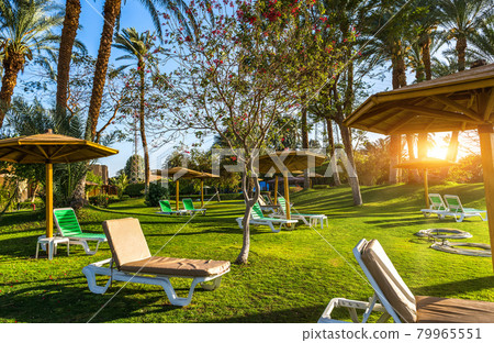 Sunbeds in Luxor Sunbeds in Luxor 79965551