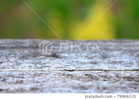 Empty rustic wooden table in the garden. Empty rustic wooden table in the garden. 79966228