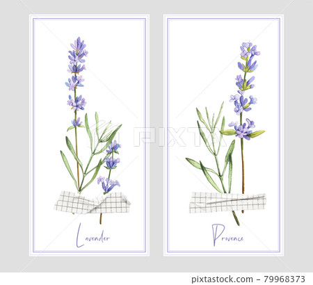 Two vertical banners with lavender and tape 79968373