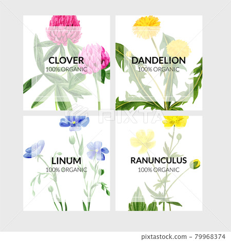 Set of four cards with wild flowers on background 79968374