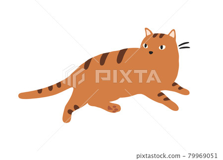 一隻放鬆的貓虎斑貓的插圖 79969051