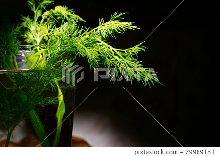 Fresh green dill, seasoning for various dishes. Healthy dill from the garden in a glass of water. Fresh green dill, seasoning for various dishes. Healthy dill from the garden in a glass of water. 79969131