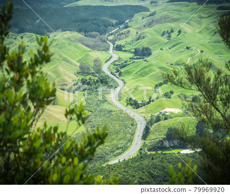 Winding road leading through green rolling hills framed by foliage. Shot from top of Rainbow Mountain located in Waikato region of New Zealand. Winding road leading through green rolling hills framed by foliage. Shot from top of Rainbow Mountain located in Waikato region of New Zealand. 79969920
