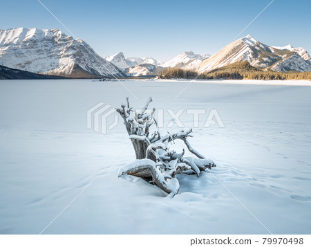 Alpine lake surrounded by mountains covered by snow during winter, shot at Upper Kananaskis Lake, Kananaskis Country, Alberta, Canada 79970498