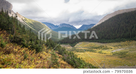 View on colourful alpine valley with forest and mountains during autumn, shot on Mount Smutwood trail in Kananaskis, Alberta, Canada 79970886