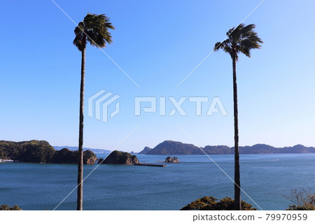 從南鄉山眺望的日南海岸風光 79970959