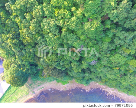 湖岸景觀〜無人機的航拍照片(豬苗代湖/西岸/會津若松市福島縣赤井字屋) 湖岸景觀〜無人機的航拍照片(豬苗代湖/西岸/會津若松市福島縣赤井字屋) 79971096