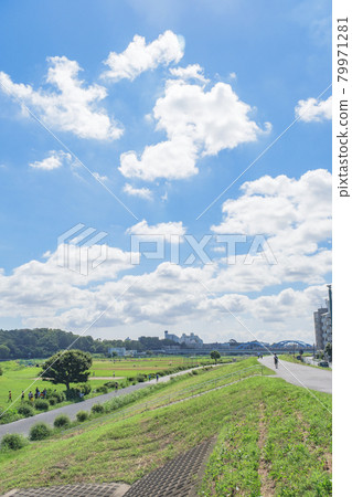 翠綠的玉川綠地：隔著多摩川眺望玉川台公園 79971281