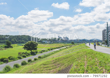 翠綠的玉川綠地:隔著多摩川眺望玉川台公園 翠綠的玉川綠地:隔著多摩川眺望玉川台公園 79971282