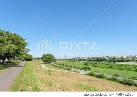 新鮮的綠色玉川綠地等 從托洛基一側隔著多摩川眺望田園調布的街景 新鮮的綠色玉川綠地等 從托洛基一側隔著多摩川眺望田園調布的街景 79971283